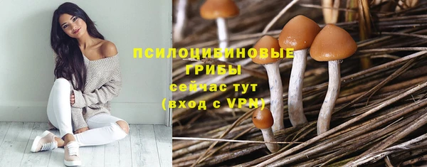 соль ск Кинешма