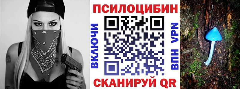 Купить где  Брюховецкая  Галлюциногенные грибы GOLDEN TEACHER 